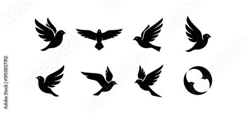 Abstract dark background with bright light spots