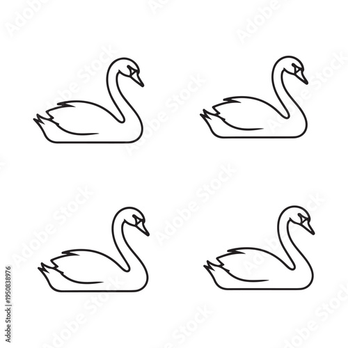 Four swans in different positions