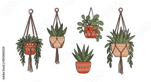 Five Hanging Potted Green Plants.