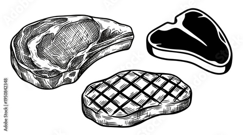 Hand-drawn illustration of various raw and grilled meat cuts, showcasing different steak types for culinary themes