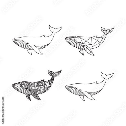 Four whales in different illustration styles on white background