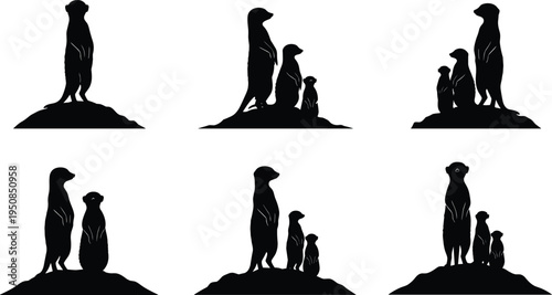 Set of black meerkat silhouettes featuring various family groups standing on lookout mounds isolated on white background for nature design.