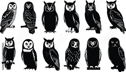 Set of black owl silhouettes in various poses sitting on branches, hand drawn woodcut style nocturnal bird icons isolated on white,