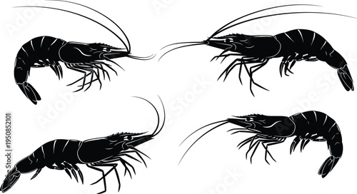 Set of black shrimp silhouettes featuring long antennas and swimming legs isolated on white background vector illustration for seafood design.