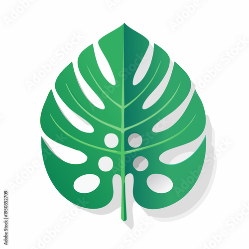 Minimalist green monstera deliciosa leaf illustration on white background