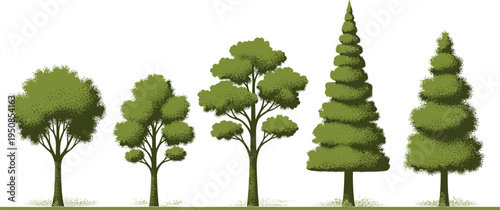 Set of green stylized tree icons with stipple texture isolated on white background, various deciduous and coniferous forest plant illustrations