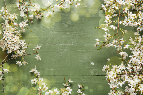 Frame made of beautiful blo...