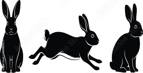 Set of three cute rabbit silhouettes showing standing jumping and sitting poses, vector illustration isolated on white background for easter nature design