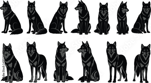 Set of Wolf Silhouette Icons and Engraved Wild Dog Illustrations, Forest Predator Vectors, Gray Wolf Animal Shapes for Nature Graphic Design