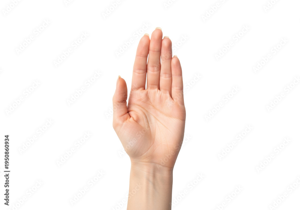 Fototapeta premium A young caucasian woman's bare hand, smooth skin texture, palm up, cupping gesture, isolated on a transparent background with copy space. Concept for commercial presentation