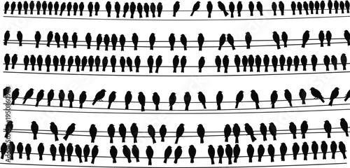 Silhouette illustration of many birds perched together on electric wires, creating a detailed wildlife pattern for nature, animal, and design projects