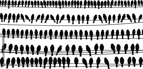 Silhouette illustration of many birds sitting closely on electric wires, creating a crowded wildlife scene, perfect for nature themes and design projects