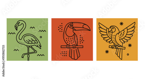 Set of 3 colorful bird icons vector