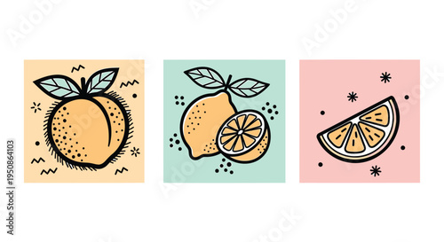 Set of 3 colorful citrus fruit icons vector