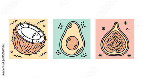 Set of 3 fruit icons vector, coconut, avocado, fig