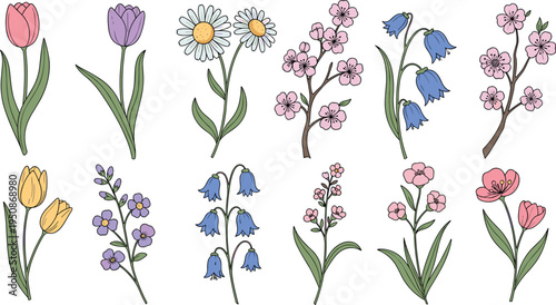 spring flowers collection with tulips daisies blossoms and wildflowers botanical floral elements isolated vector set