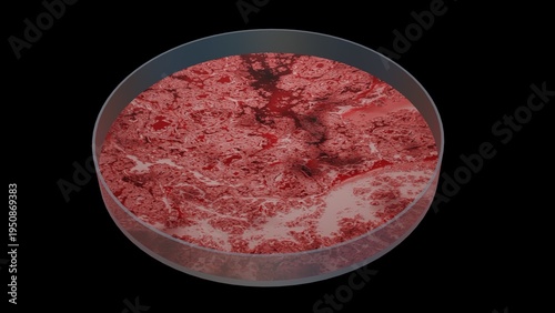 Bacteria growing in petri dish. Microbes reproducing in petri dish. Lab grown meat. Synthetic lab grown food. 3d render illustration isolated on black background.