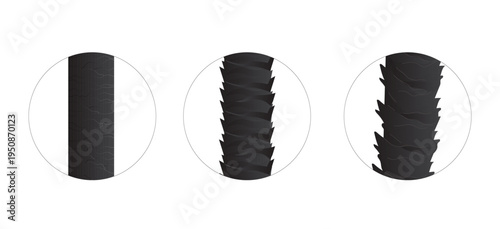 Microscopic view of hair cuticle layers showing porosity differences.