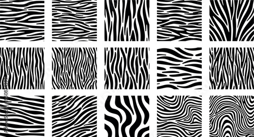 Zebra stripe abstract patterns collection with animal skin texture wavy lines black and white seamless vector backgrounds