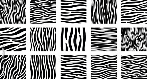 Zebra stripe patterns collection with abstract animal skin textures wavy black and white safari seamless vector backgrounds set