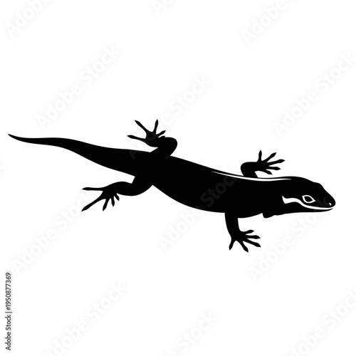 Black silhouette of a lizard on a white background
