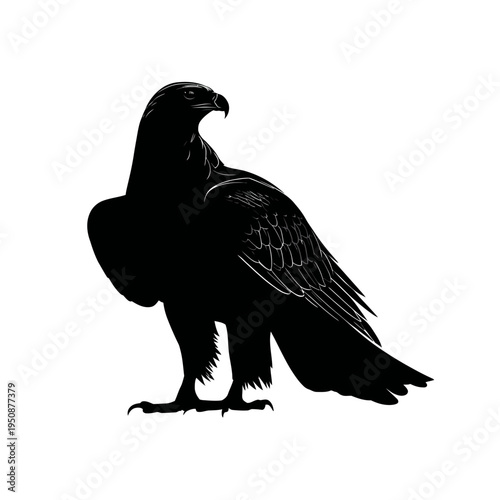 Black silhouette of a majestic eagle standing tall