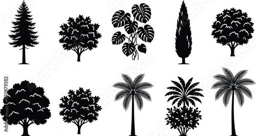 Tree and plant silhouette vector illustration, palm broadleaf conifer icons, tropical forest artwork, botanical outdoor design, landscape foliage scene - flat vector illustration