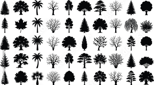 Tree and plant silhouette vector illustration, palm broadleaf conifer icons, tropical forest artwork, botanical outdoor design, landscape foliage scene - flat vector illustration