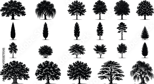 Tree and plant silhouette vector illustration, palm broadleaf conifer icons, tropical forest artwork, botanical outdoor design, landscape foliage scene - flat vector illustration