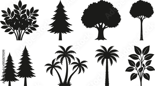 Collection of eight tree and plant silhouettes, vector illustration of coniferous, palm, deciduous, bushy plants with varied foliage, flat vector illustration