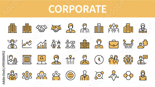 Human Skeleton Anatomy Illustration Set Full Body Skull Hands Rib Cage Spine Detailed Medical Educational Vector