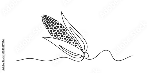 Minimalist continuous line art of a fresh corn cob with husk and leaves on white background