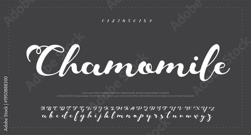 Script Brush Font Type Font lettering handwritten  