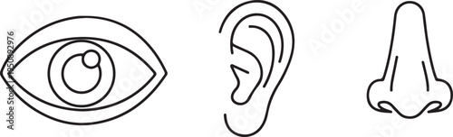 Human Senses Icons: Eye Ear Nose Silhouette Vector Art Isolated on white background