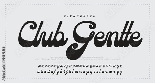Script Brush Font Type Font lettering handwritten. vector illustration 