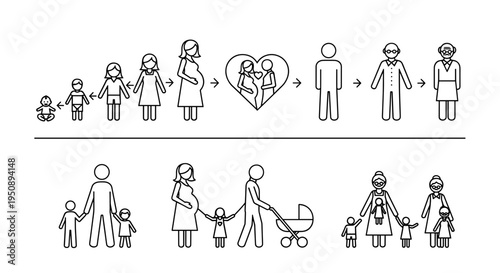 Generational family life cycle stages illustrated from infancy to old age showing growth relationships and parenthood