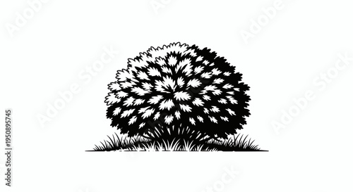 Black and white illustration of a lush, round shrub with blades of grass at its base