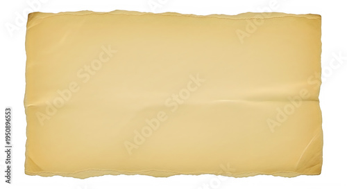 Aged parchment paper with a blank and slightly crumpled surface
