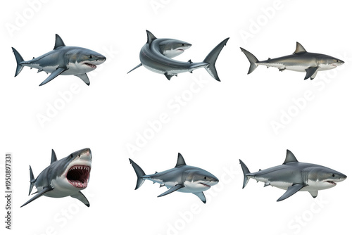Collection of six different sharks, various poses and angles, isolated on transparent background