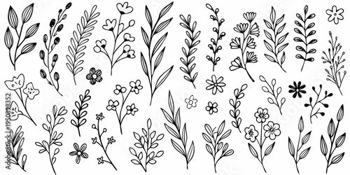 Obraz na plátne A collection of delicate hand drawn floral and botanical line art