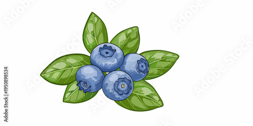 A vibrant illustration of fresh blueberries surrounded by lush green leaves