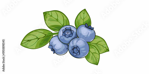 A watercolor illustration depicts a sprig of fresh ripe blueberries