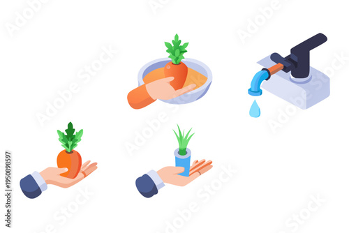 Isometric illustration depicting carrot washing and growth process stages