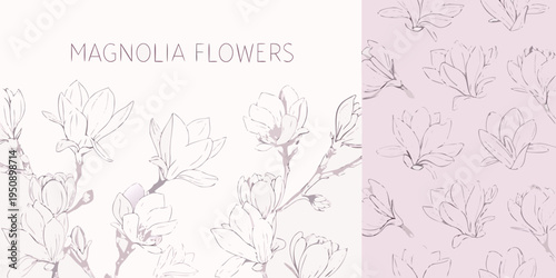 Delicate magnolia flower sketches on a pale pink background