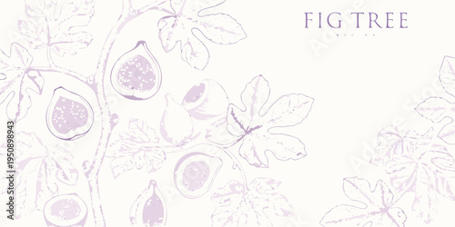 Delicate botanical illustration of fig tree branches and ripening figs