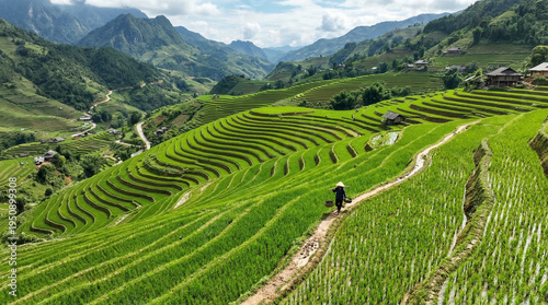 Lush rice terraces cascade down hills in Vietnam.