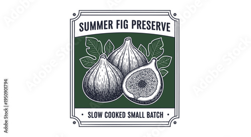 Vector illustration of summer fig preserve label with figs