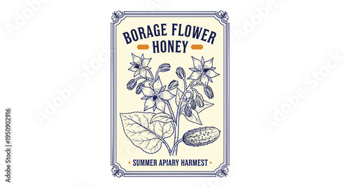 Vector illustration of borage flower honey label