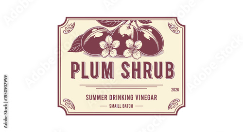 Vector label for plum shrub summer drinking vinegar