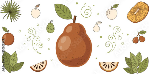 Sapodilla Tropical Fruit Composition with Leaves, Slices, Seeds and Botanical Elements Exotic Sapota Food Vector Illustration